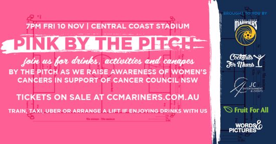 Pink by the Pitch Women’s Networking Event