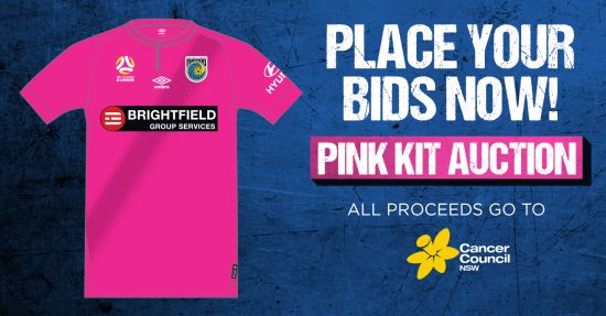 Charity Auction: Player Worn Pink Kits